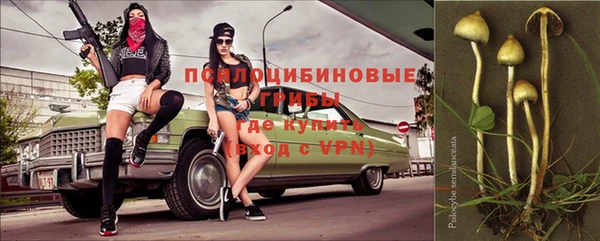 МДПВ Абинск